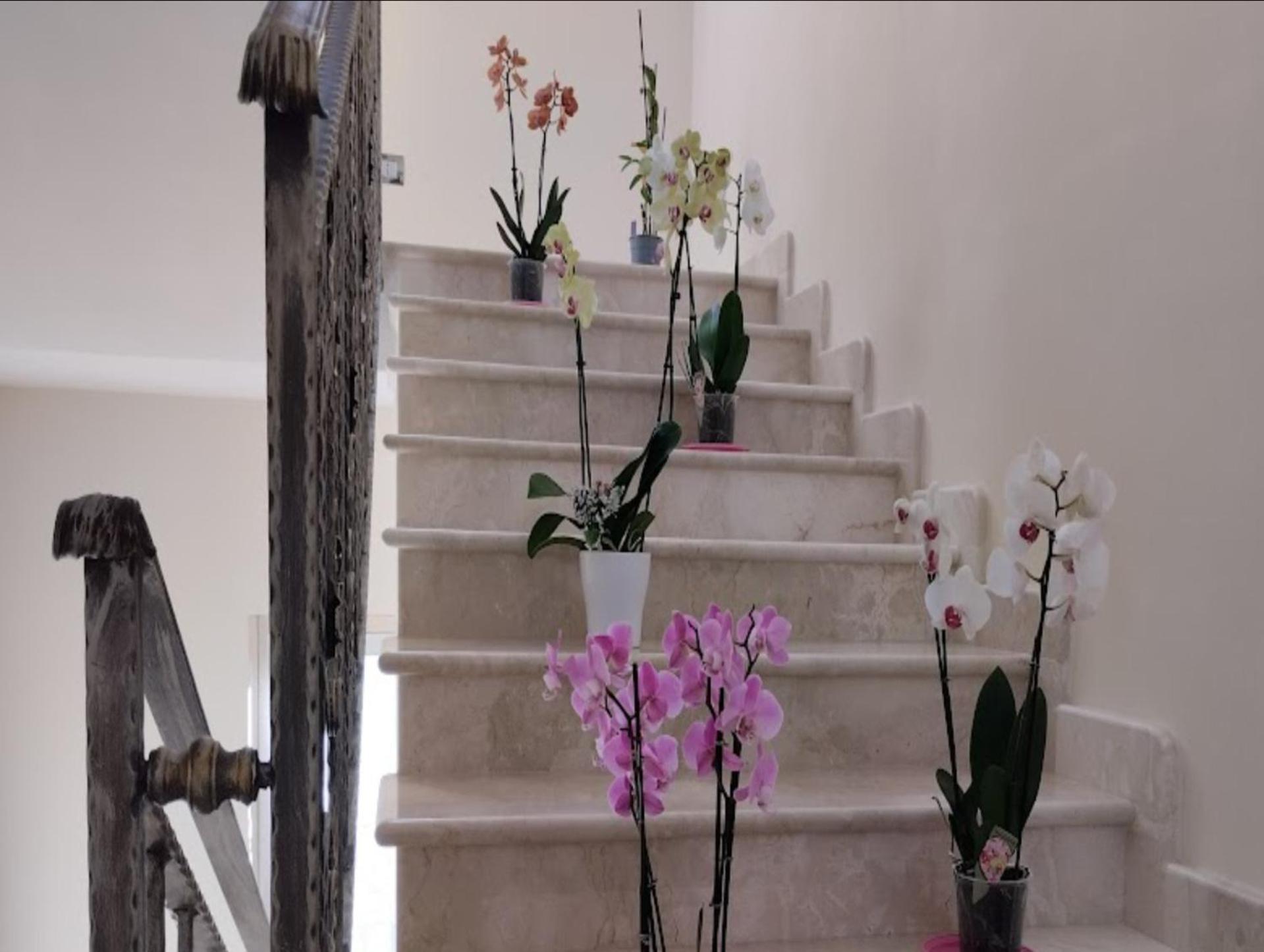 Affittacamere Daphnae House 3*